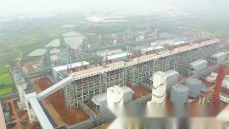 Gazogène à lit fluidisé circulant 80000nm3/H fabriqué en Chine